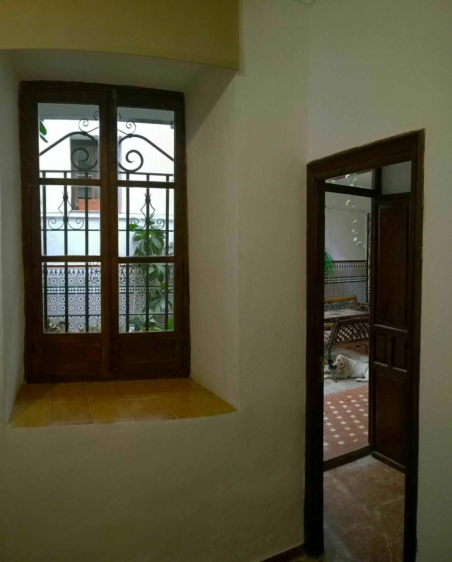 ホテル Casa Patio De La Vega コルドバ エクステリア 写真